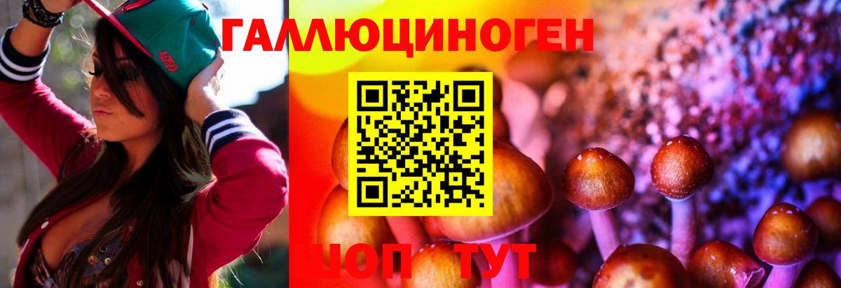 Псилоцибиновые грибы мухоморы  Вход с VPN  Новочебоксарск  Псилоцибиновые грибы MAGIC MUSHROOMS 