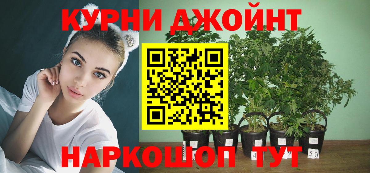 Каннабис гибрид  Вход с VPN  Новочебоксарск  Марихуана Amnesia 